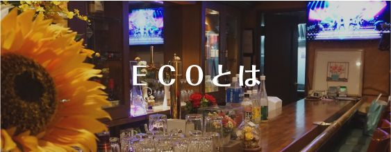 ＥＣＯとは